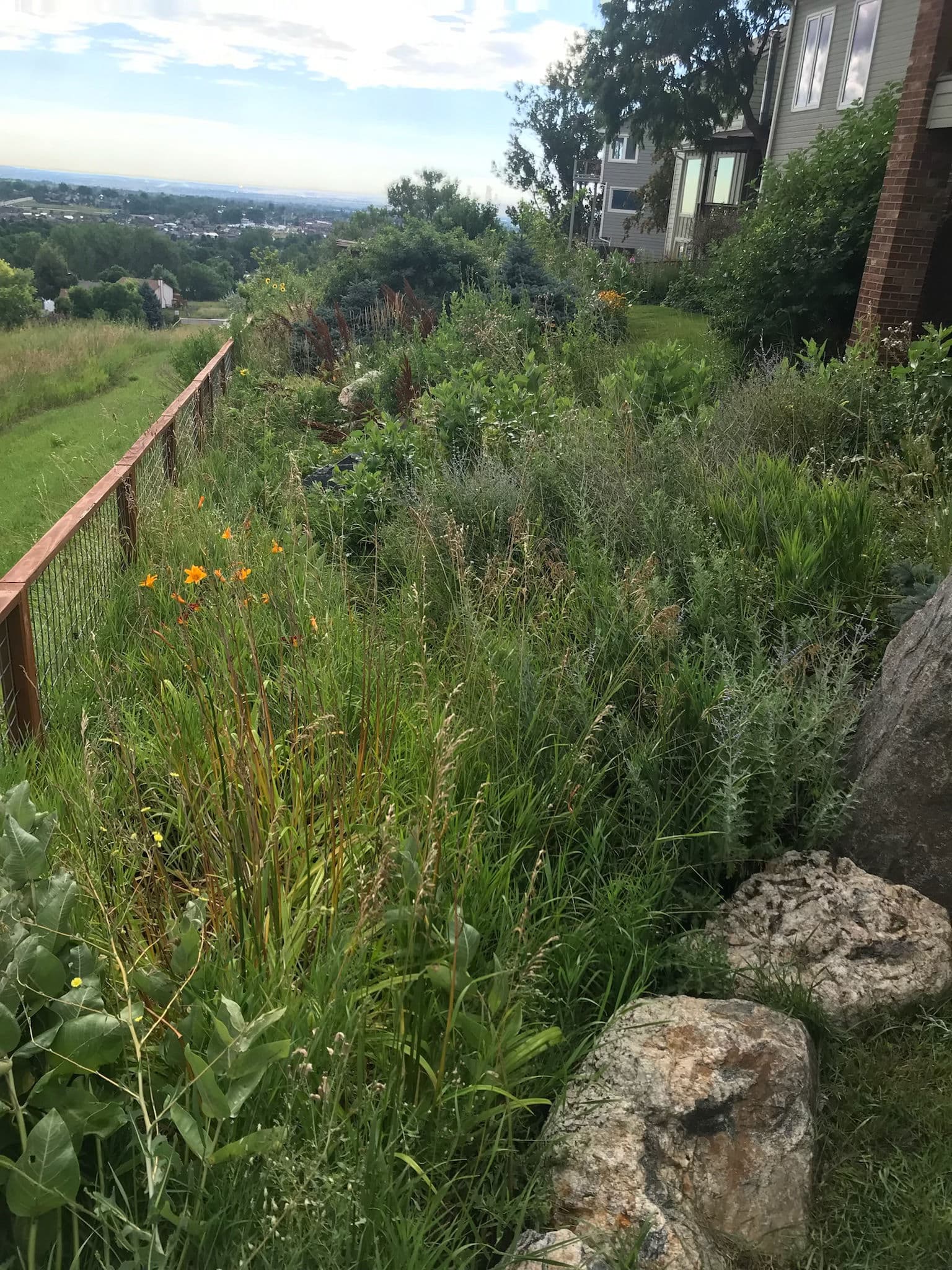 Project Naturally Beautiful Pathway Creation image