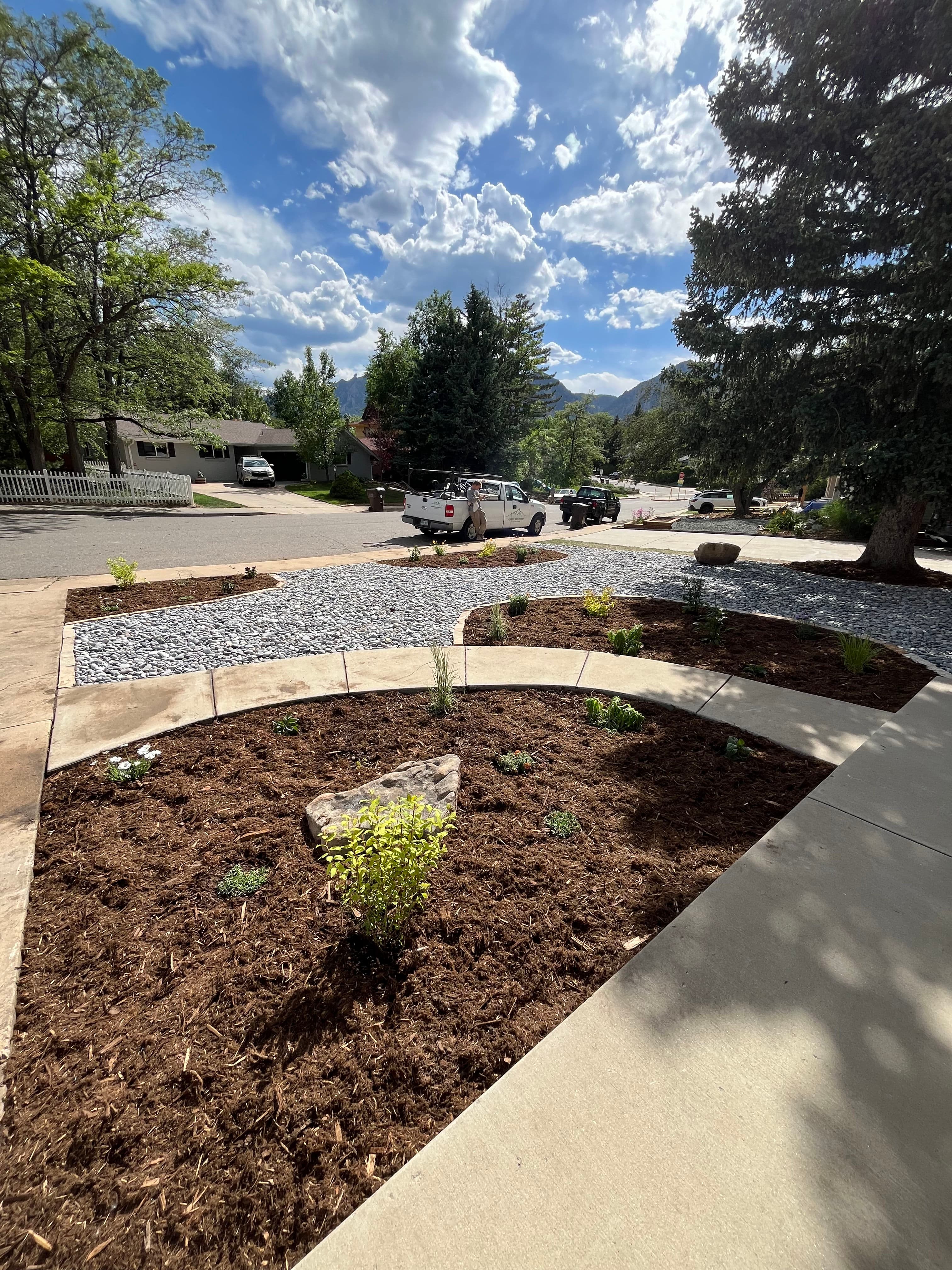 Project Lawn Out, Native Perennials In - Boulder Xeriscape Install image