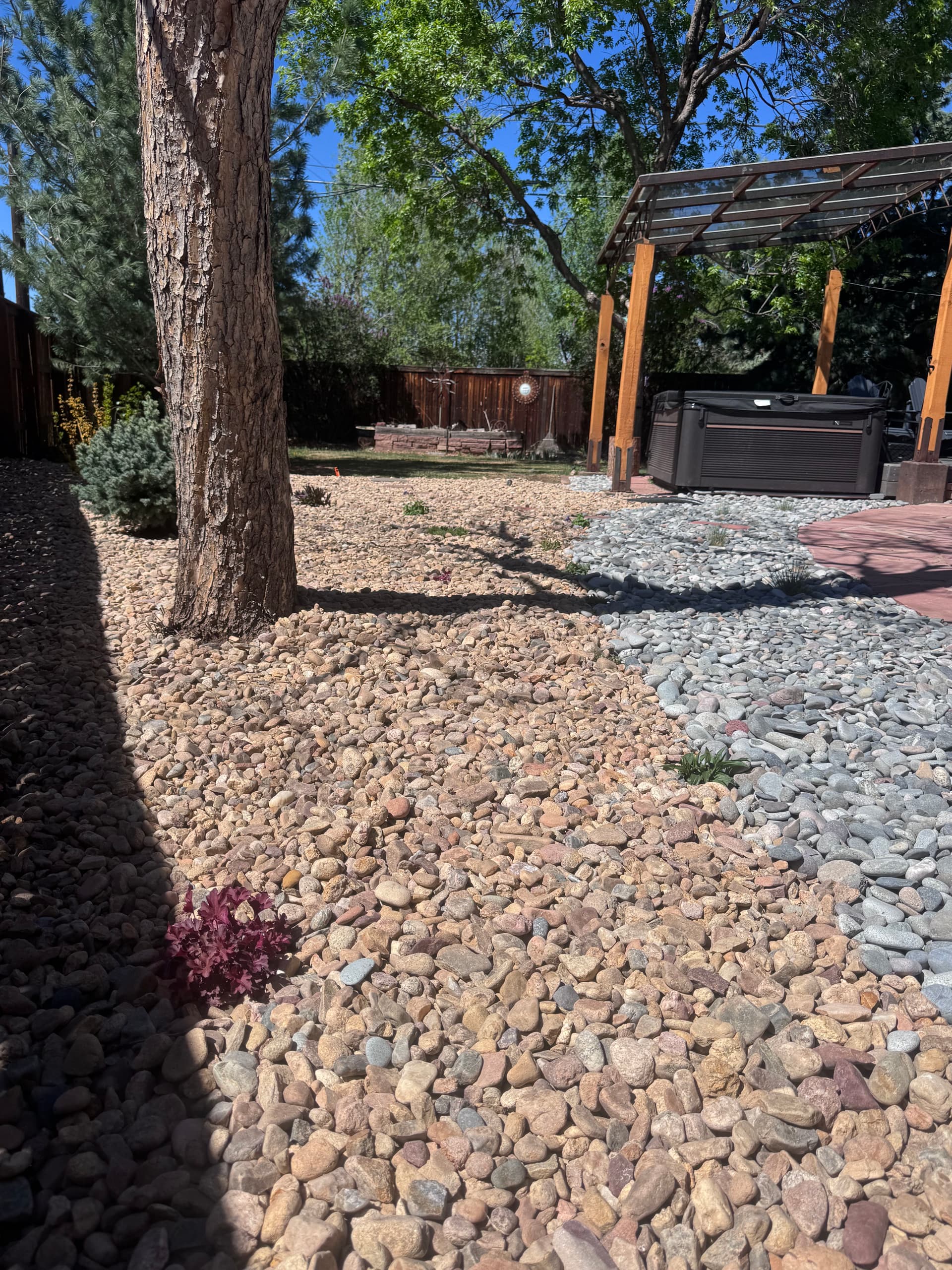 Boulder Backyard Built for Colorado Living Not Just Curb Appeal